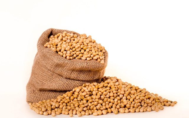 How to cultivate soyabeans