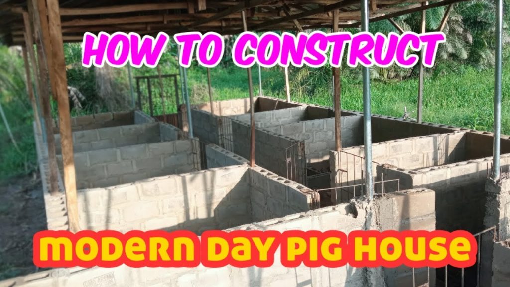 Modern-day pig house construction