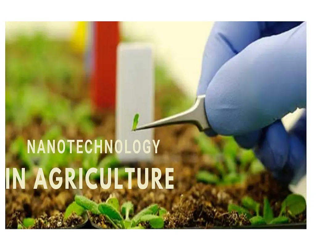 Application of nanomaterials in crop productions