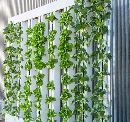 What is vertical farming and how it works