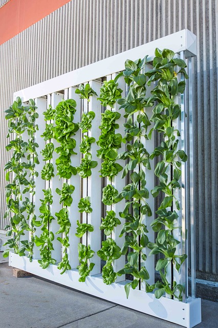 What is vertical farming and how it works