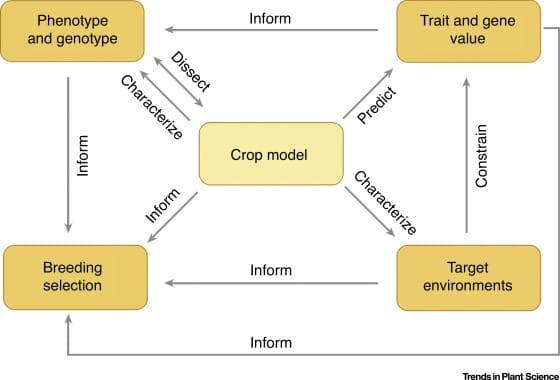 Types of crop modelling in agriculture
