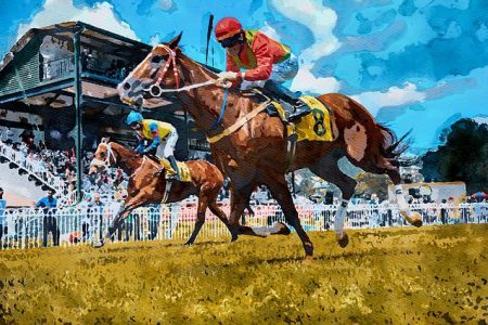 horse breeds that are best for racing