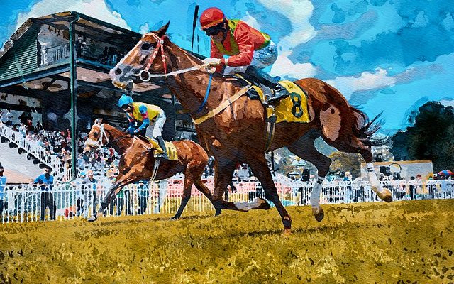 horse breeds that are best for racing
