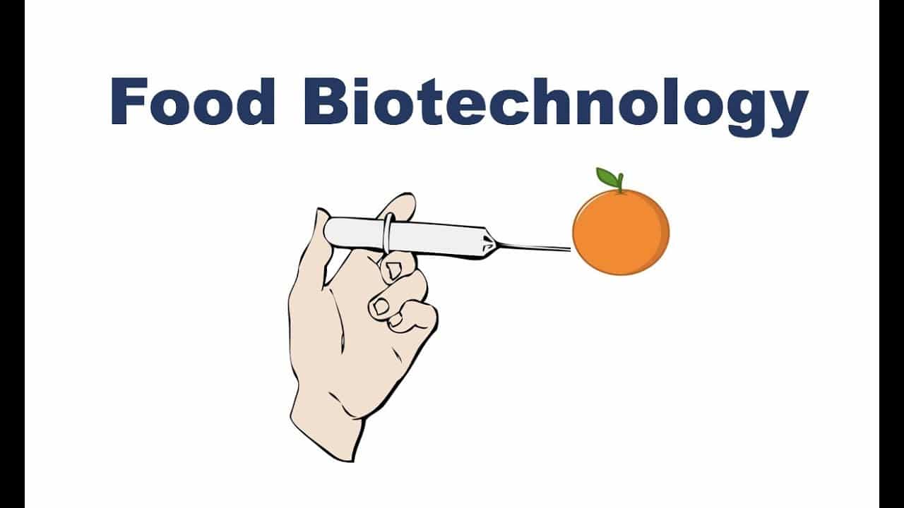 Food Biotechnology Application Examples, Advantages And Disadvantages
