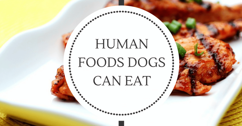 Foods dogs can eat without harm