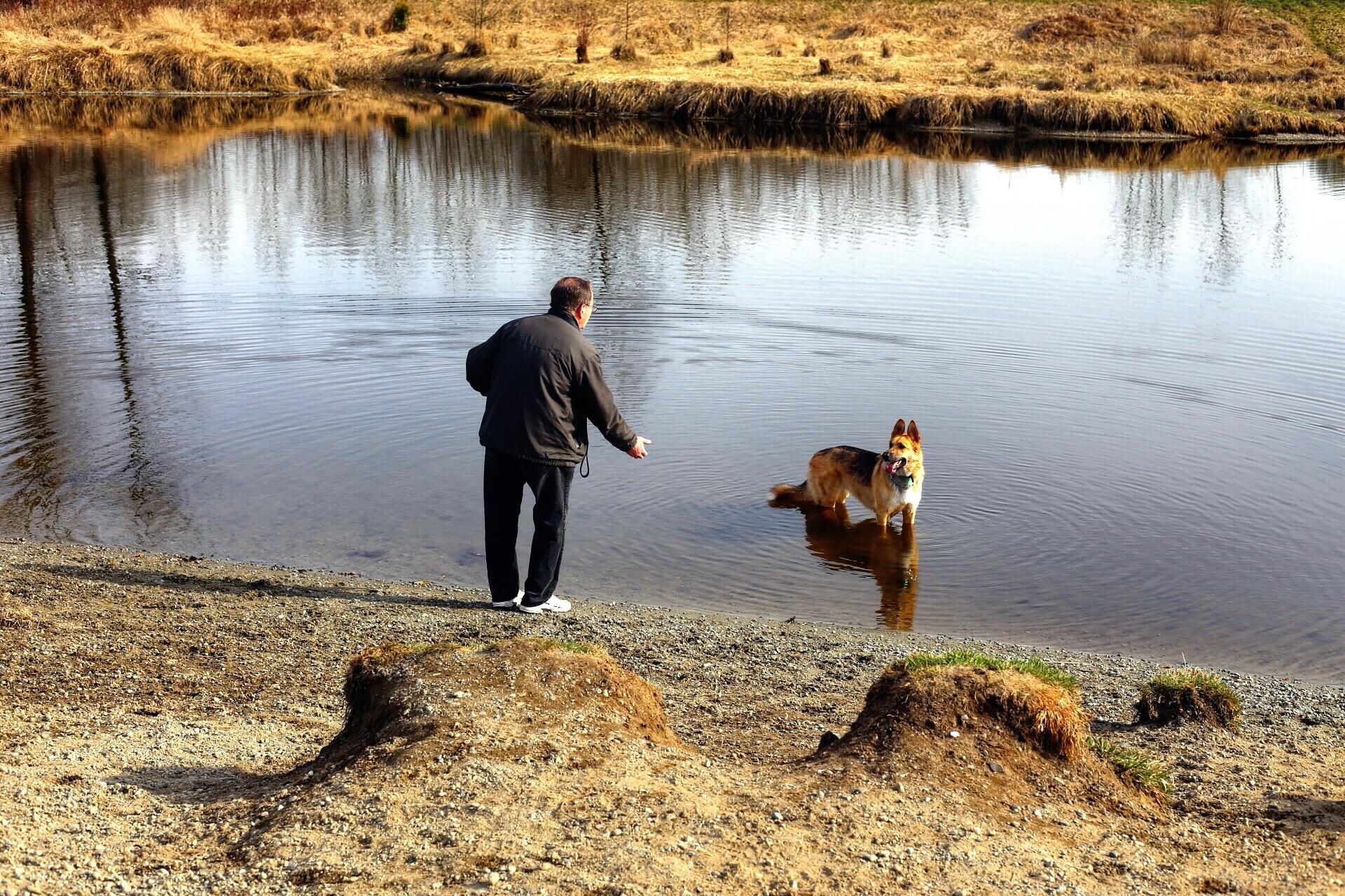 dog speaking