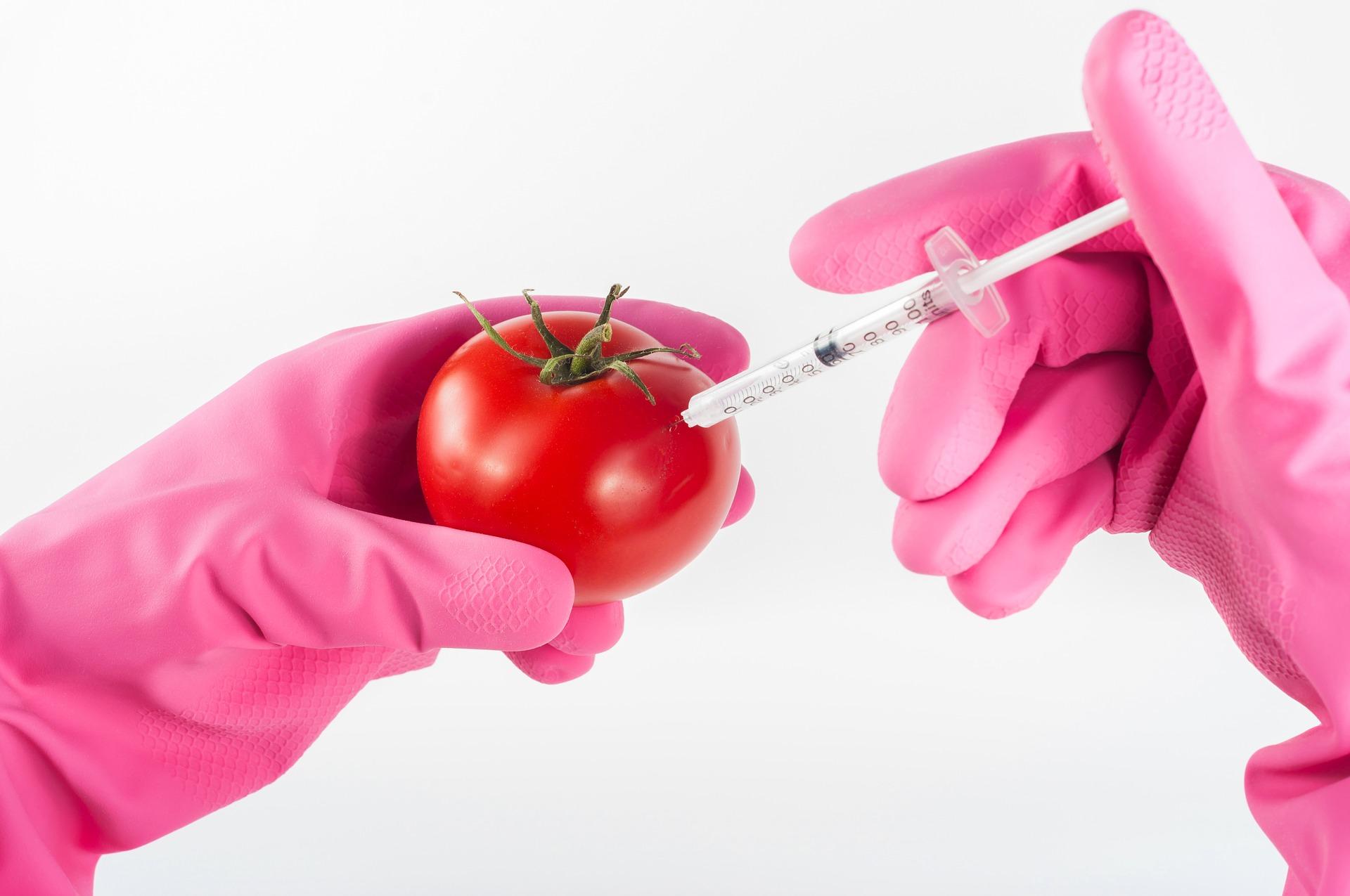 Disadvantages of Food Biotechnology on Health and Environment