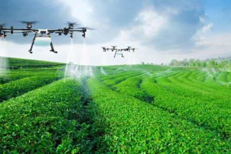 How agric robots help to increase yield