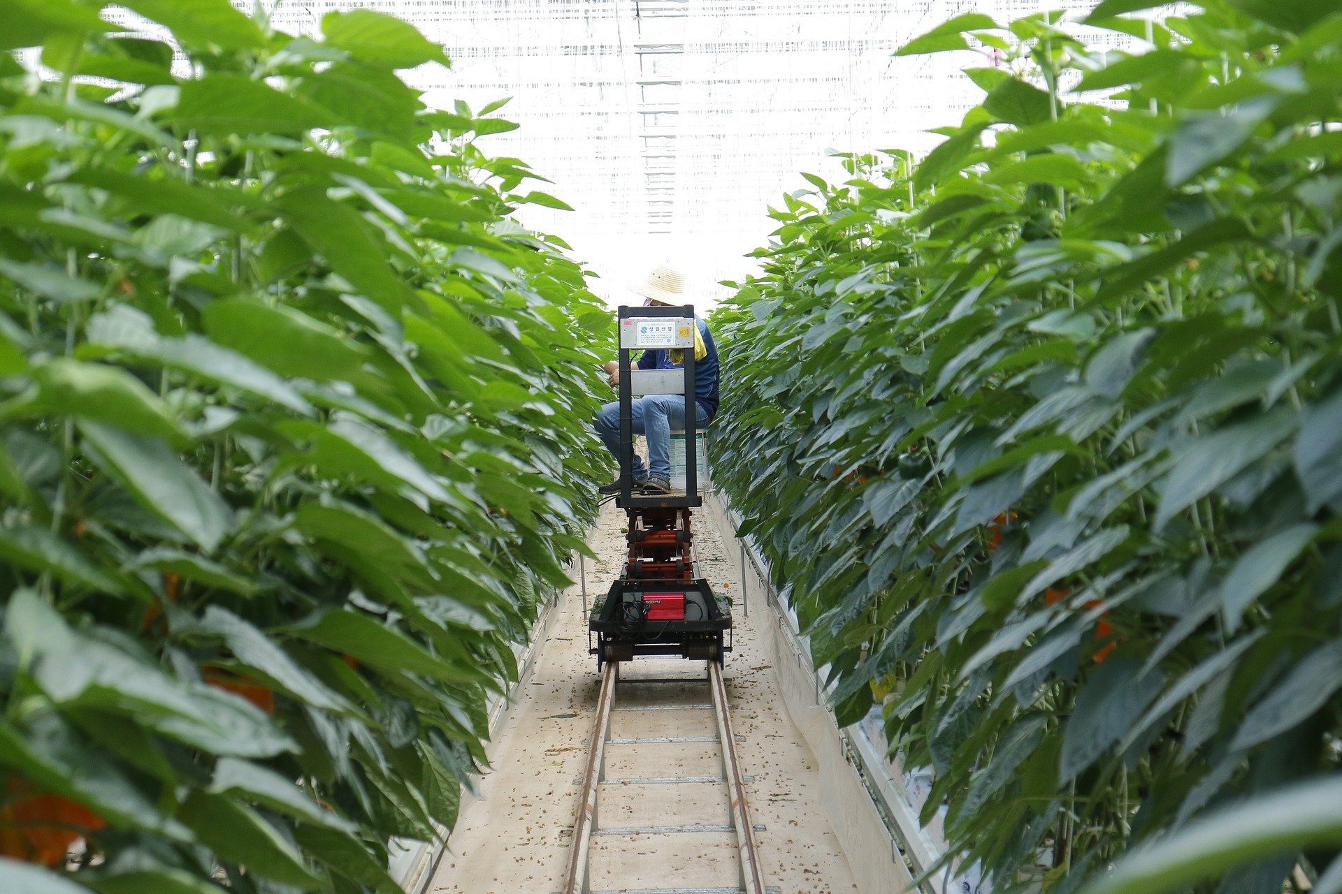 How iot tech help in smart farming