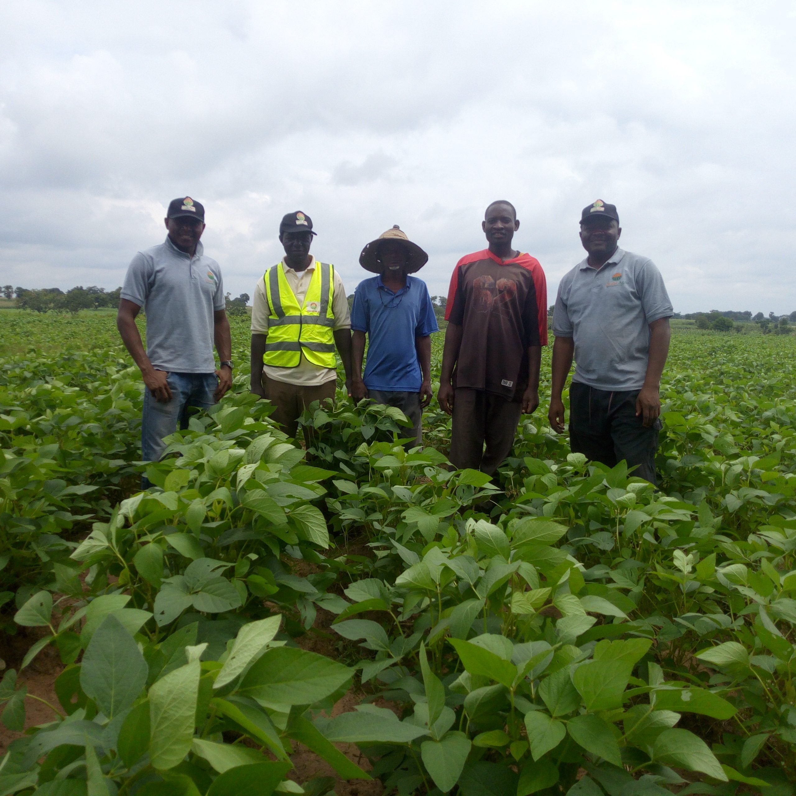 How chubi agro crowd fund farms in nigeria