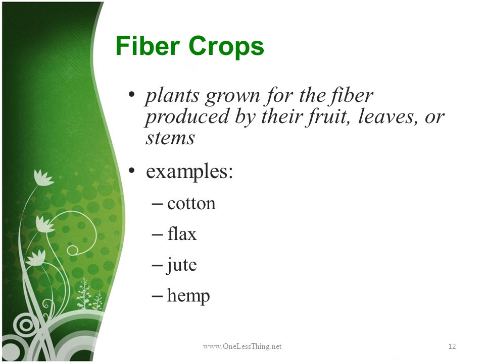 Examples of fiber crops