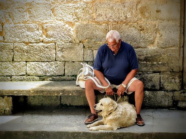 How Pets can help the Health of Seniors and Retirees best dog breeds for seniors and benefits of pet therapy for retirees