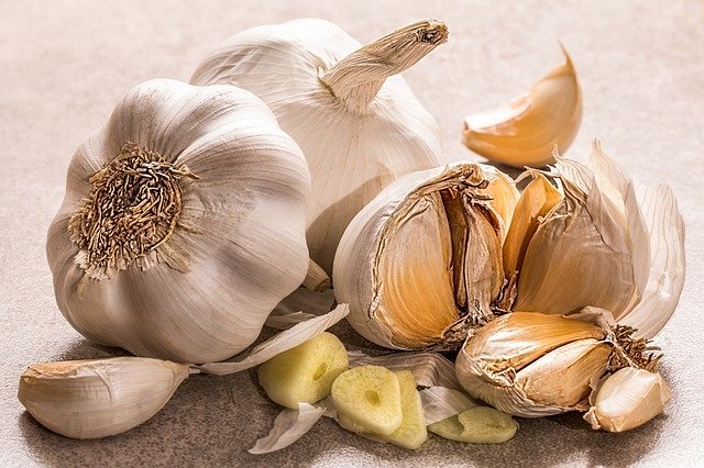 How to cultivate garlic plant