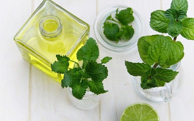 Benefits of peppermint oil in treating skin problems in pets