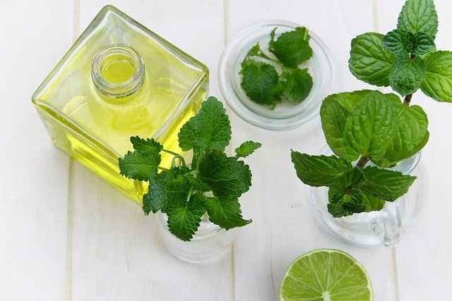 Benefits of peppermint oil in treating skin problems in pets