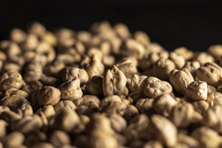 Gram Seed (Cicer Arietenum) Germination - FarmPally.com