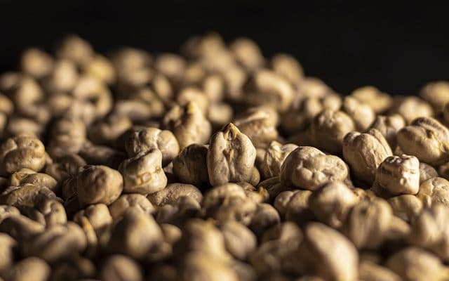 properties of gram seed and germination stages