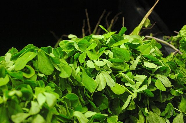 What is the origin of Fenugreek - Trigonella foenum-graecum