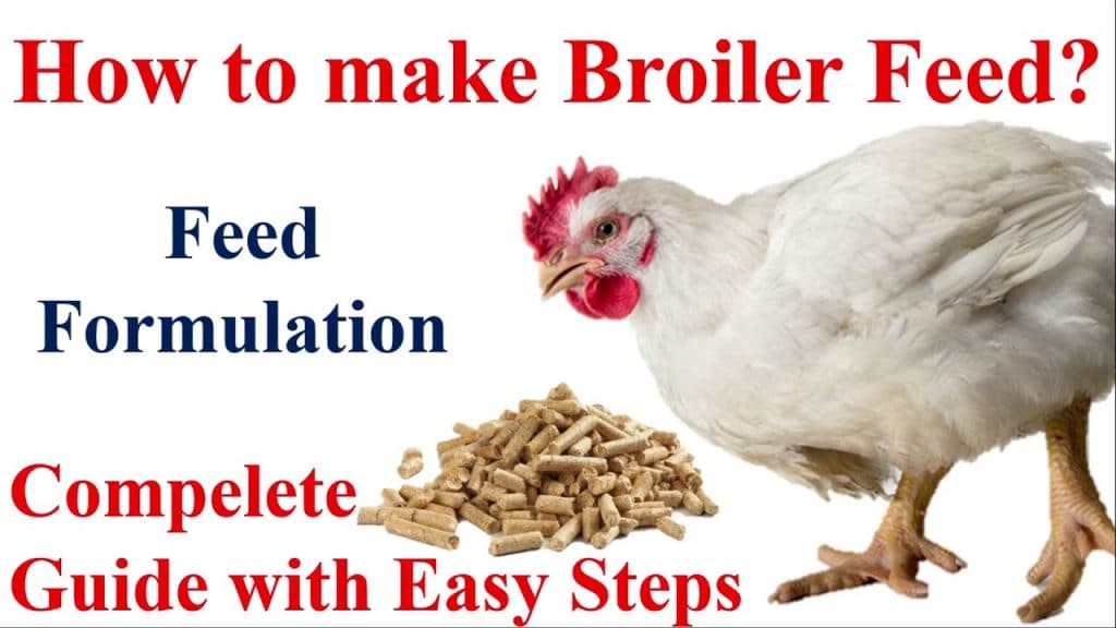 Making Poultry starter and finisher mash