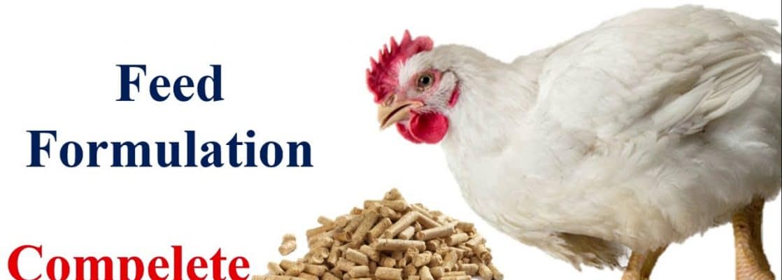 Making Poultry starter and finisher mash