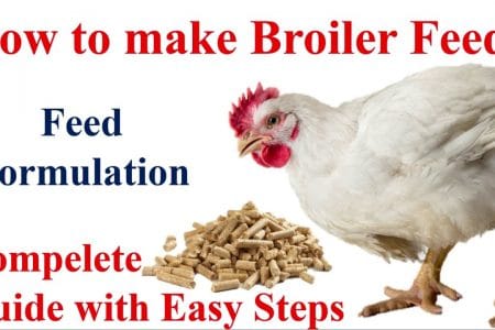 Making Poultry starter and finisher mash