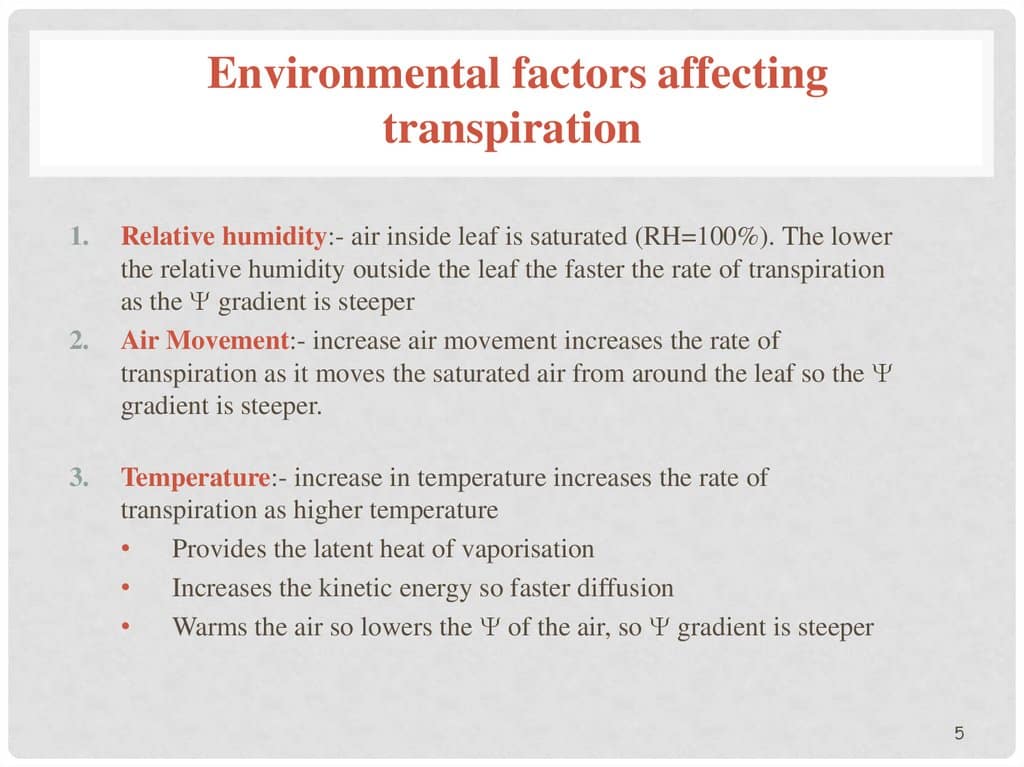 Transpiration in plants