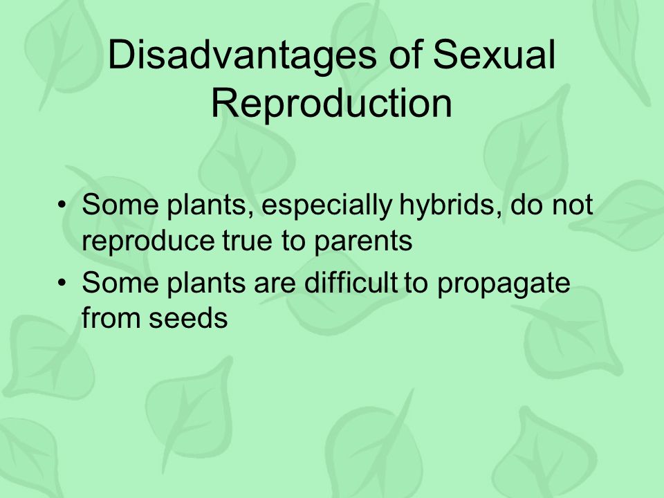 What are the disadvantages of sexual reproduction in plants