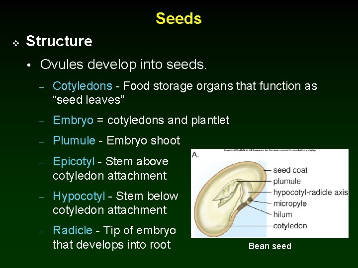 Parts of seeds and their functions