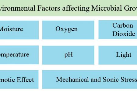 Factors influencing soil bacteria growth