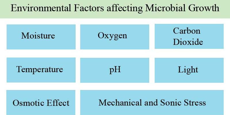 Factors influencing soil bacteria growth