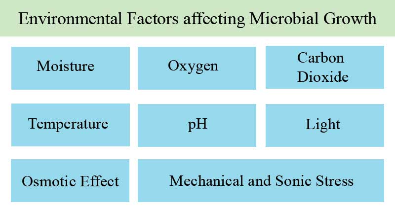 Factors influencing soil bacteria growth