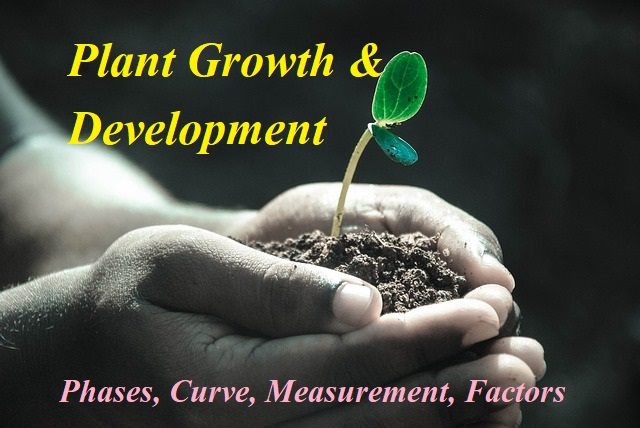 What is plant growth and development