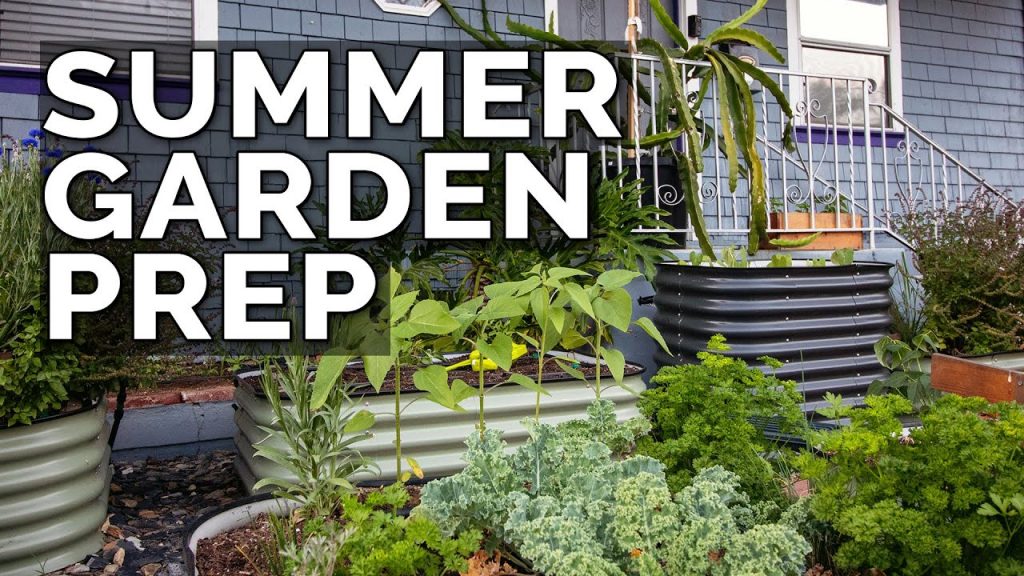 How to clean and prepare garden for summer season