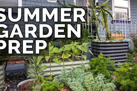 How to clean and prepare garden for summer season