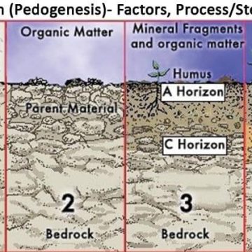 Pedogenesis of soil