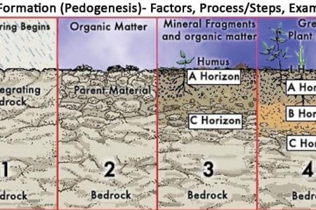 Pedogenesis of soil