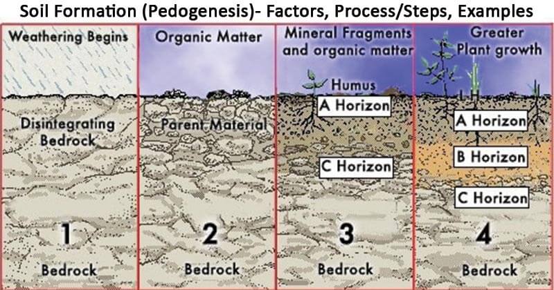 Pedogenesis of soil