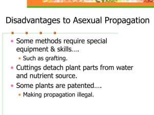Disadvantages Of Asexual Reproduction In Plants - FarmPally.com