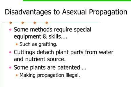 Disadvantages of vegetative propagation