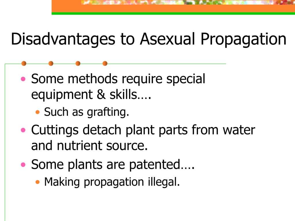 Disadvantages of vegetative propagation