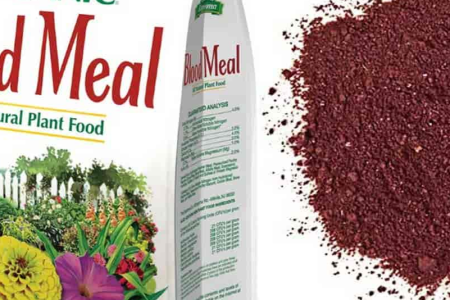 Demerits of blood meal