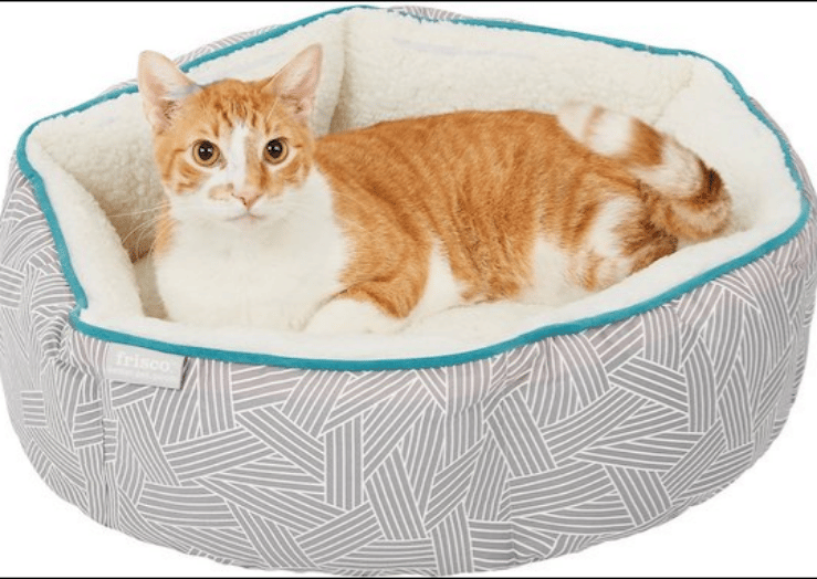 Best fabric for cat beds and caves