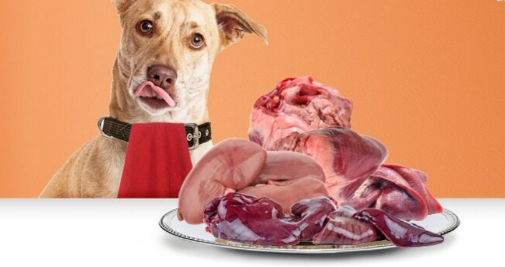 How to prepare beef and lamb kidneys for dogs meal