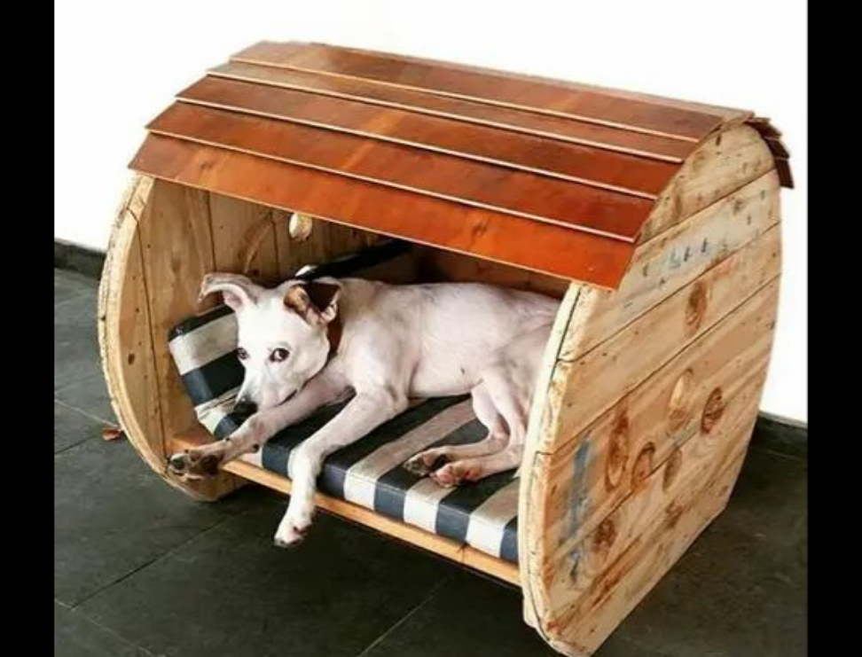 Wooden Cable Spool Dog House