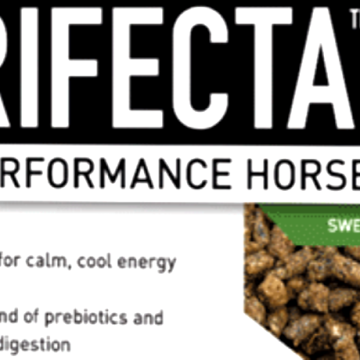 Trifecta Horse supplement