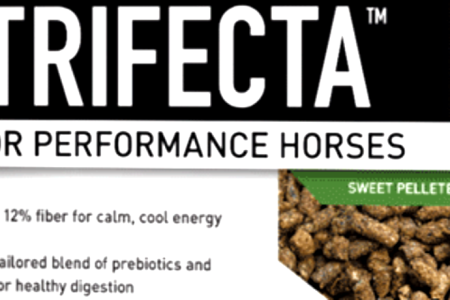 Trifecta Horse supplement