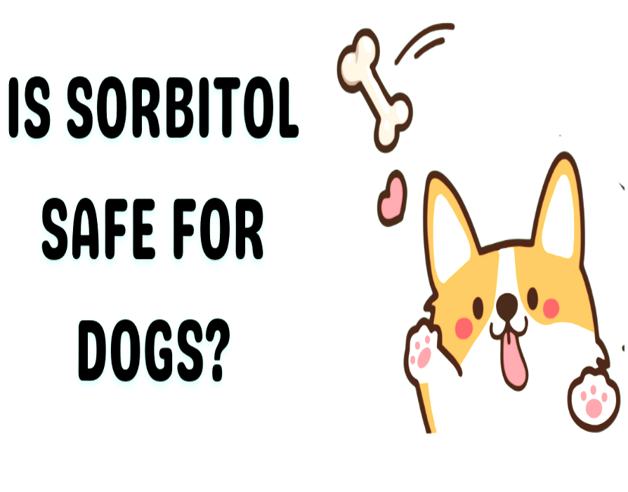 Is sorbitol good or bad for dogs