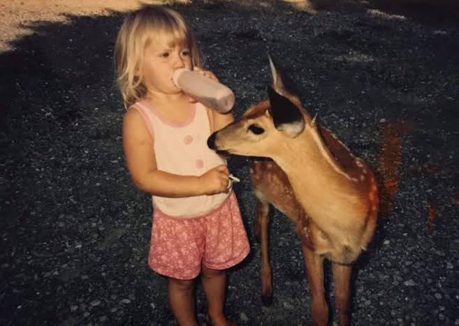 How to tame and care for wild deer