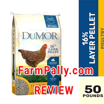 Is DuMOR a Good chicken feed